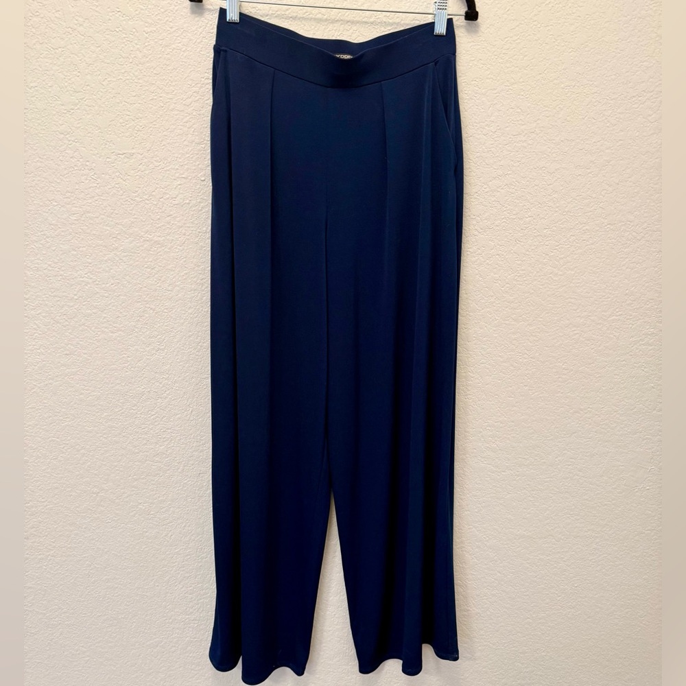 Express Navy Wide-Leg Pants